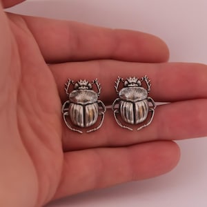 May include: A pair of silver-coloured beetle-shaped earrings. Each earring features a detailed scarab beetle design with textured surfaces and intricate detailing. The earrings are displayed against a neutral background.