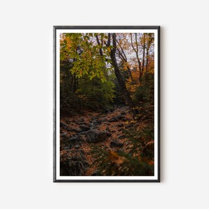 Fall Foliage Wall Print Hiking Trail Autumn Art Forest Wall Art Fall Photography Fall Print Autumn Lover Gift Fall Decor Fall Lover Gift