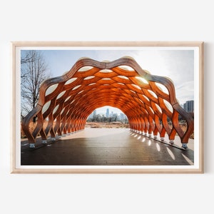 Bienenwabe Wand Kunst Bienenwabe Dekor Chicago Wand Kunst Chicago Fotografie Chicago Bienenwabe Druck Biene Wand Kunst Biene Dekor Chicago Liebhaber Geschenk