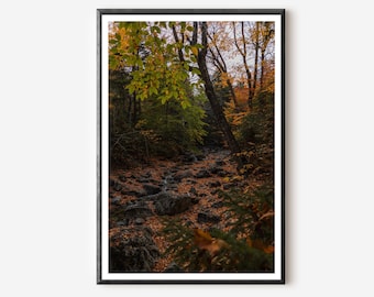 Keene Valley Fall Foliage Print: Autumn Hiking Trail Wall Art