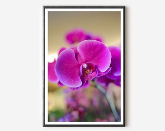Orchid Photography Print: Rio de Janeiro Botanical Wall Art
