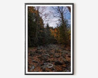 Keene Valley Fall Photography: Autumn Forest Trail Art Print