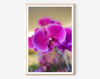 Impression de fleurs d'orchidées roses : art mural botanique (téléchargement numérique)