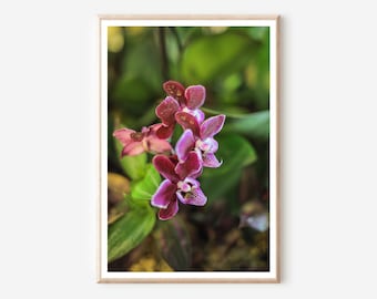 Impression de fleurs d'orchidées mauves : art mural botanique (téléchargement numérique)