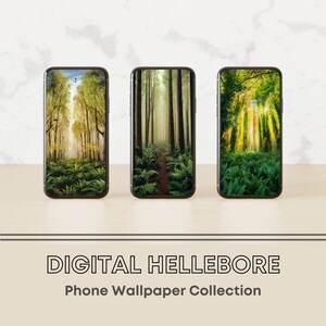 Puede incluir: Tres smartphones que muestran escenas de bosque con helechos verdes y árboles altos. Las pantallas presentan diferentes perspectivas de un sendero forestal, con la luz del sol filtrándose a través del dosel. El texto "DIGITAL HELLEBORE Phone Wallpaper Collection" está en la parte inferior.