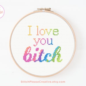 I Love You Bitch rainbow cross stitch pattern PDF subversive funny sarcastic modern affirmation embroidery art home decor handmade gift
