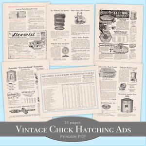Anúncios impressos de chocadeiras de galinhas antigas / pintinhos - Junk Journal Ephemera - Folha de colagem digital - Anúncios - Páginas em PDF - Classificados