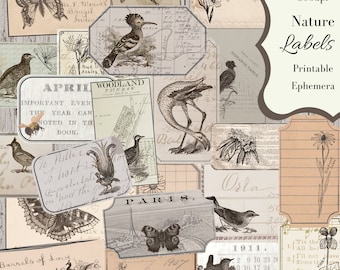 Könnte beinhalten: Eine Collage von Natur-Etiketten im Vintage-Stil mit Schmetterlingen, Vögeln und botanischen Illustrationen. Die Etiketten zeigen handschriftlichen Text, Karten und die Wörter "Nature Labels" und "Printable Ephemera". Die Farbpalette umfasst Beige, Braun und Creme.