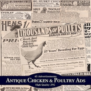 Anúncios impressos de frango e aves antigas - Junk Journal Ephemera - Folha de colagem digital - Anúncios - Páginas JPG - Classificados