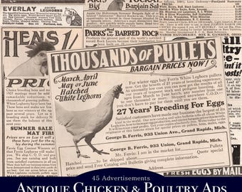Antike Huhn & Geflügel Print-Werbung - Junk Journal Ephemera - Digital Collage Sheet - Werbung - Seiten JPG - Kleinanzeigen