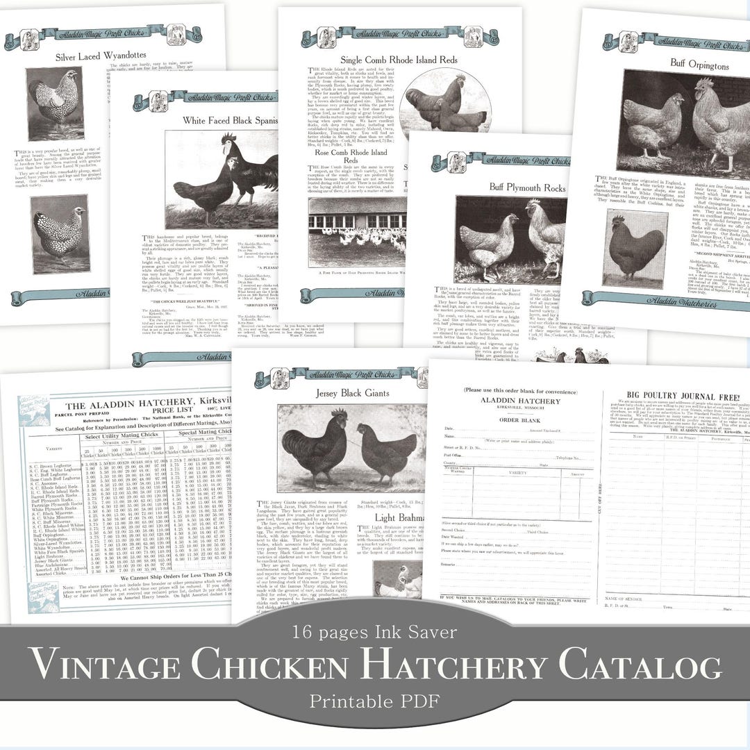 Printable Antique Chicken Hatchery Catalog Pages 1920s Vintage Poultry