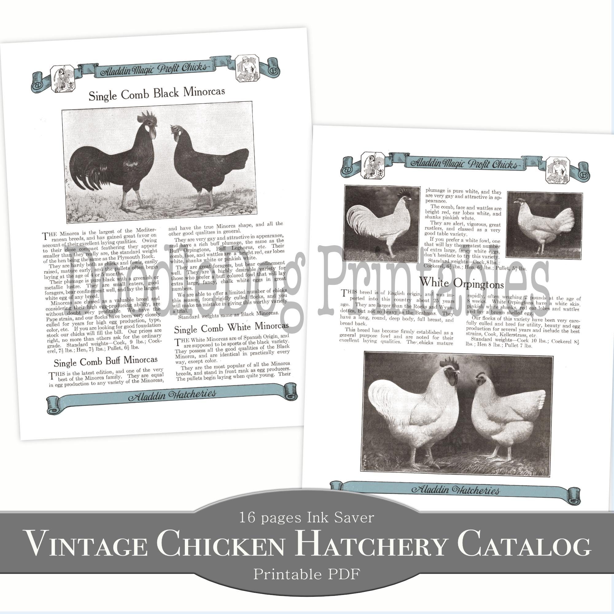 Printable Antique Chicken Hatchery Catalog Pages 1920s Vintage Poultry