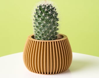 Succulente houten plantenbak HEATHER | Moderne plantenbak voor binnen | Origineel cadeau | Uniek ontworpen plantenbak