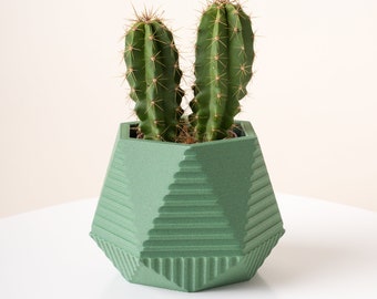 Modern geometric eco-friendly wooden planter HEXA | Decorative indoor plant pot | Lightweight succulent planter