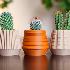 Set aus 3 kleinen Übertöpfen #3 | Originelles Geschenk | Sukkulenten Übertöpfe aus Holz