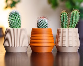 Set van 3 kleine plantenbakken #3 | Origineel cadeau | Succulente houten plantenbak set