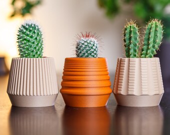 Olly & Rose Set 4 Vasi Geometrici In Cemento Mykonos - Per Cactus E Piante Grasse, Con Foro Di Drenaggio, 8,5 Cm