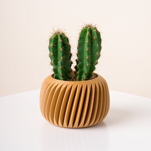 Moderner minimalistischer Übertopf ZINNIA | Dekorativer Sukkulenten Blumentopf aus Holz | Originelles Geschenk