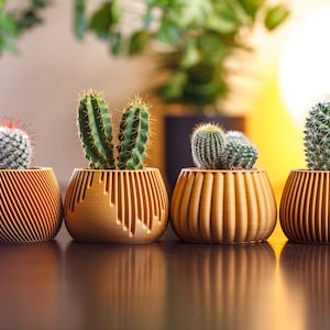 4 kleine Übertöpfe im Set #1 | Originelles Geschenk | Sukkulenten Übertöpfe aus Holz