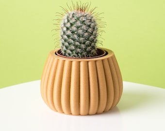 Schattige plantenbak van cactushout POPPY | Moderne plantenbak voor binnen | Origineel cadeau | Uniek vormgegeven plantenpot voor vetplanten