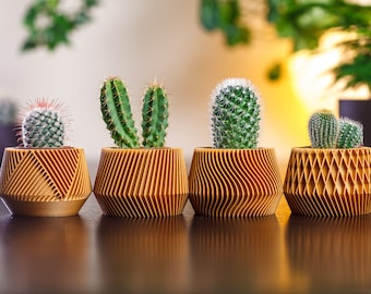 Set van 4 kleine plantenbakken #2 | Sappige houten plantenset | Cadeau voor plantenliefhebbers