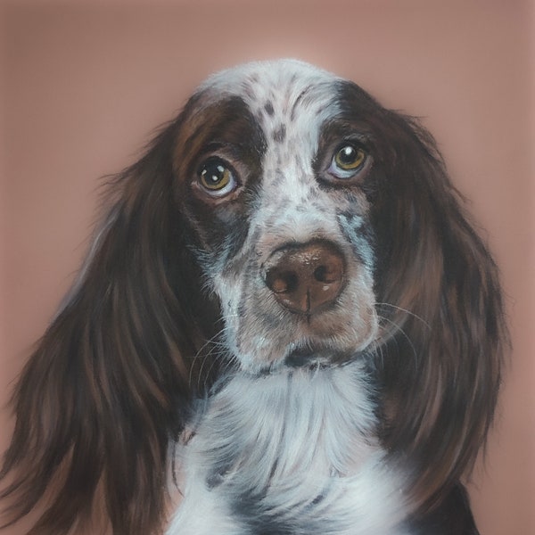 Portrait d'animal pastel d'après photo dessin pastel sur papier Pastelmat 350g, portrait de chien