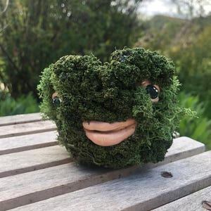 Peut inclure: Une sculpture fantaisiste recouverte de mousse avec un visage souriant. La sculpture a une forme ronde avec de la mousse verte, des lèvres brun clair et des yeux noirs et bruns. La sculpture est placée sur une surface en bois.
