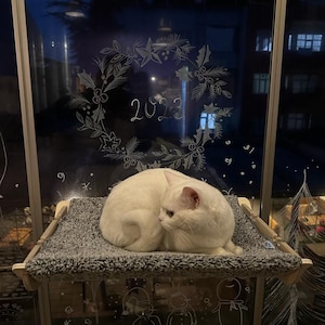 Cat Window Perch, Wood Cat Shelf, Pet Window Sill, Cats Window Hammock, Wooden Window Shelf for Cat, Pets Bed Hanging, Modern Cat Furniture