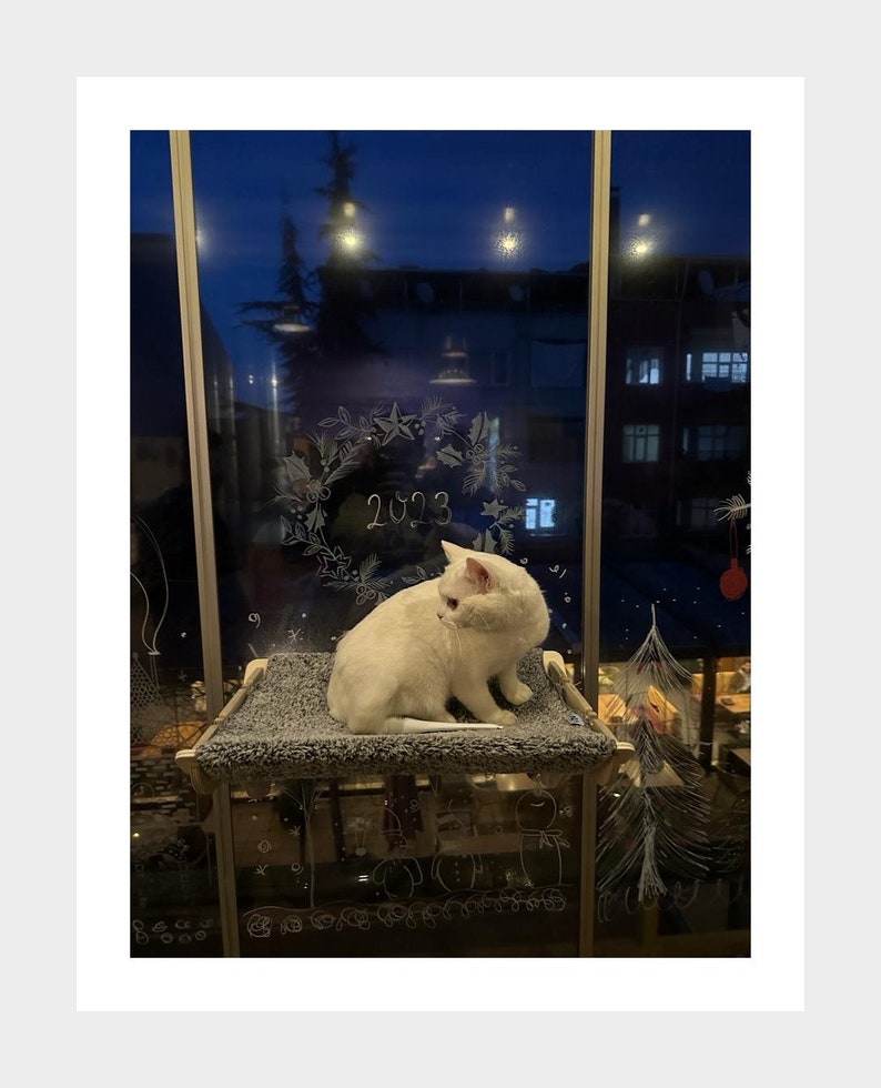 May include: A white cat sits on a gray cat bed, looking out a window. The window is decorated with white chalk drawings, including a wreath with the year 2023 written inside.