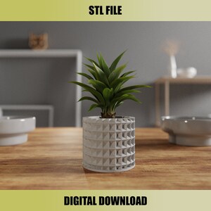 May include: A 3D printable STL file for a geometric planter. The planter is a light gray color and has a textured, diamond-shaped pattern. A green plant is growing in the planter.
