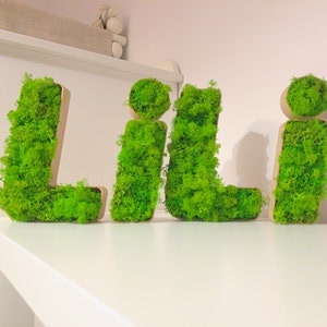 Personalized moss lettering, moss frames, your own letters, 3D printing, unique composition, original wall idea, creative decoration