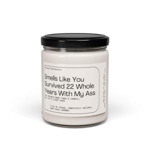22nd Anniversary Gift, 22 Year Anniversary Gift, Wedding Anniversary Funny Husband Wife Anniversary Candle 22nd Him Her Copper Anniversary image 6