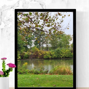 Fotografia de paisagem de riacho de outono Decoração de casa para impressão Arte de parede Impressão aconchegante da natureza do outono Decoração de parede de outono Presentes perfeitos para o outono