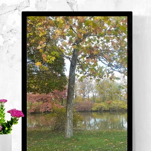 Fall Season Wall Art Autumn Leaves Creek Scenic Landscape Printable Digital Download Home Decor Country Life Autumn Decor