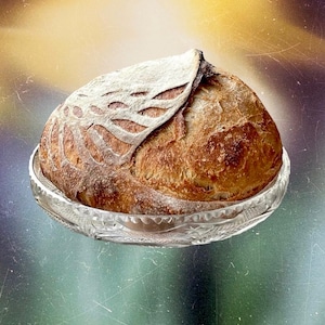 Organic Mature English Sourdough Starter + 5 page Printed Instructions and Recipes! Dehydrated Live Culture - 15 grams / 0.5oz
