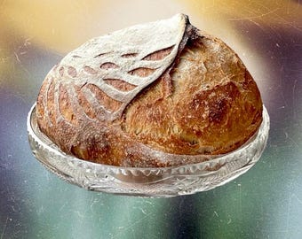 Organic Mature English Sourdough Starter + 5 page Printed Instructions and Recipes! Dehydrated Live Culture - 15 grams / 0.5oz