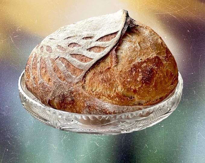 Organic Mature English Sourdough Starter + 5 page Printed Instructions and Recipes! Dehydrated Live Culture - 15 grams / 0.5oz