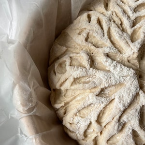 PDF: How to Bake Sourdough at Home + Loaf, Focaccia, and Bagel Recipes!