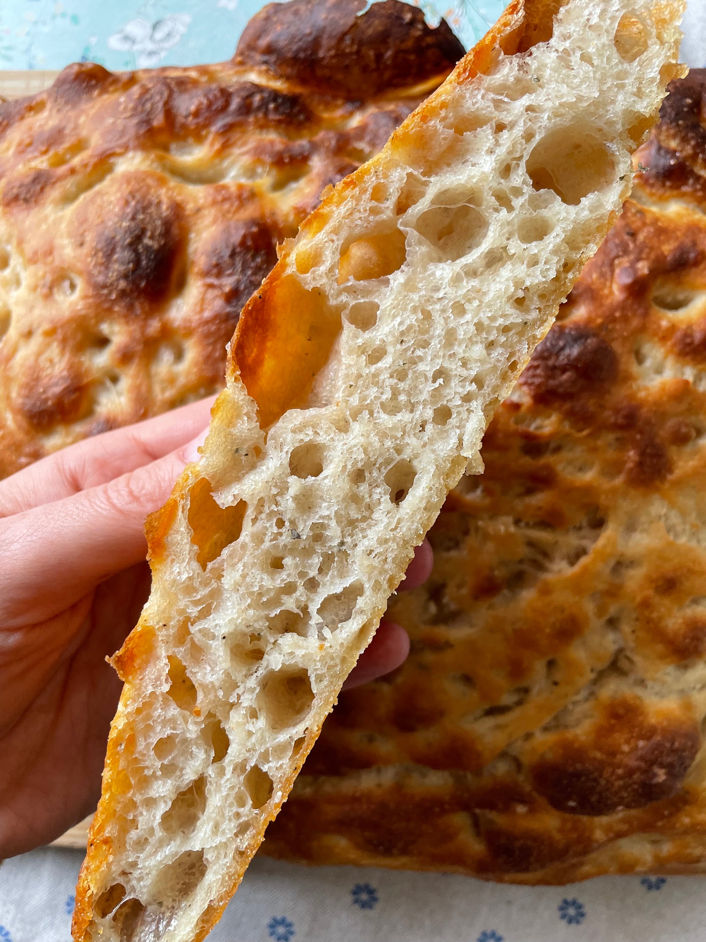 Organic Sourdough Starter Instructions and Recipes 15 Grams Etsy