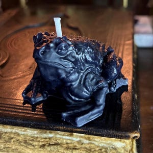May include: A dark blue frog-shaped candle with a white wick. The candle is highly detailed, with textured skin and a realistic frog appearance. The candle is placed on a dark surface, with other decorative items in the background.