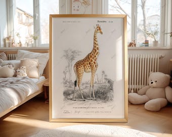 Lámina ilustrada de jirafa, arte mural vintage de animales, decoración para habitación infantil, descarga digital 034