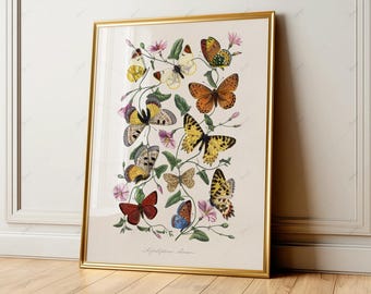 Impresión digital de mariposas vintage, arte botánico imprimible para pared, decoración cottagecore, arte entomológico antiguo, lepidópteros 033