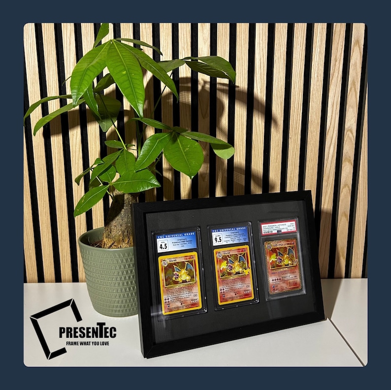 May include: A black frame with three graded Pokemon cards inside. The cards are all of the same Pokemon, Charizard, but with different grades. The grades are 4.5, 9.5, and 9.5. The frame is sitting on a table with a plant in a pot in the background.