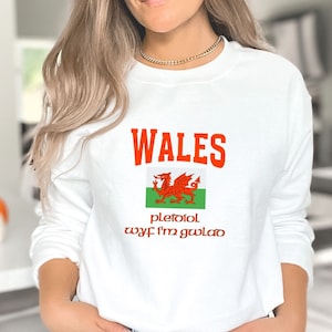 May include: White sweatshirt with the word "WALES" in orange letters, a red dragon on a green and white flag, and the text "pletoid wyf I'm gwlao" in black letters.