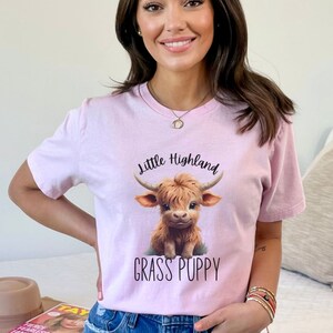May include: A pink t-shirt featuring a cartoon Highland cow with the text "Little Highland Grass Puppy".
