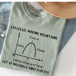 Calculus Math Teacher Shirt, Comfort Colors, Math Teacher Tee, Calculus Math Teacher Gift, STEM Lab Gift, Math Teacher Tee, Math Coach tee