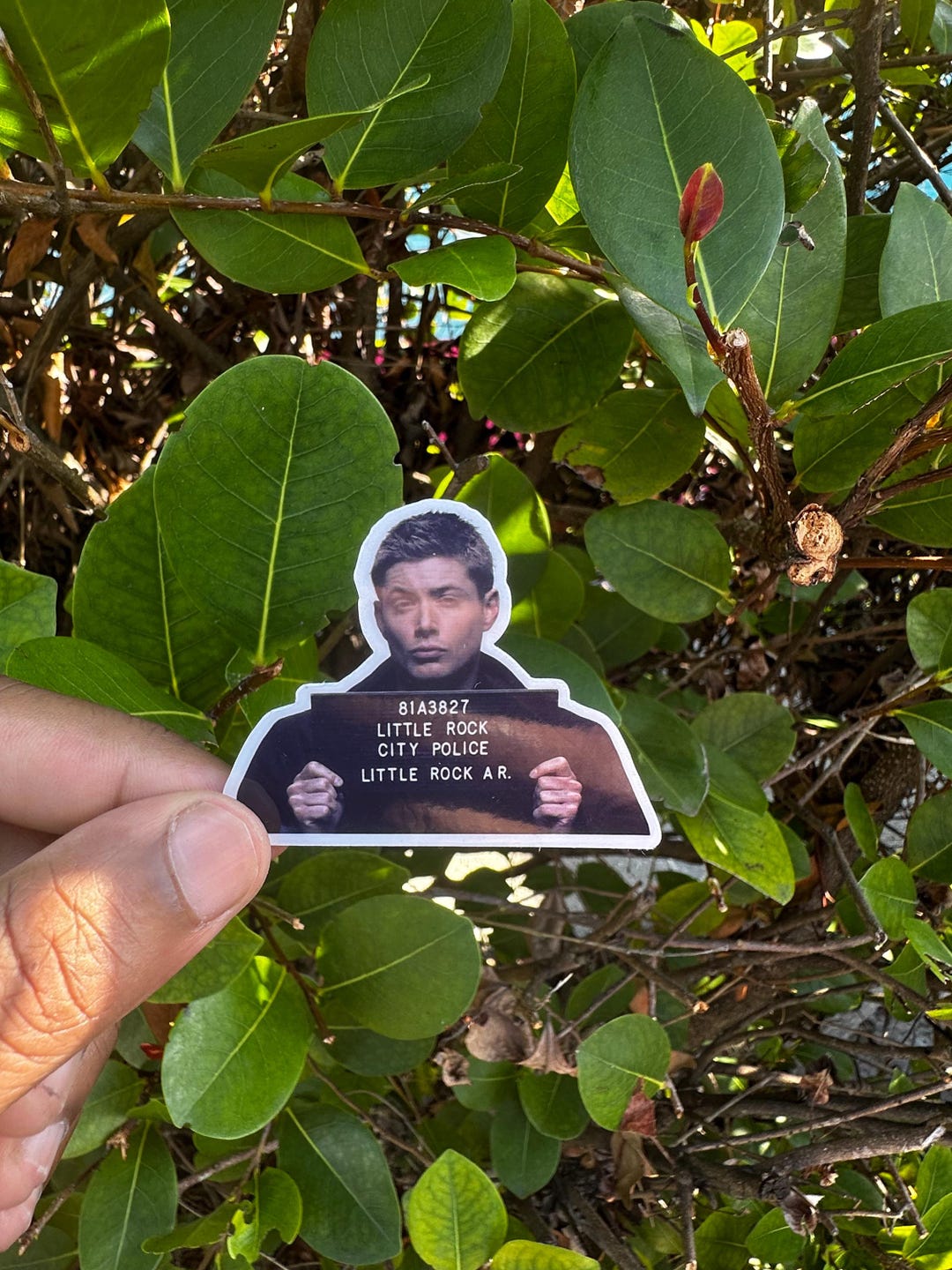 Dean Speed Sticker Dean Winchester Mugshot Sticker - Supernatural SPN Vinyl Decal - Etsy