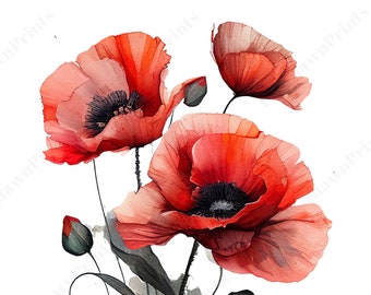 May include: A watercolor painting of red poppies with green stems and leaves. The flowers are in various stages of bloom, with some fully open and others still in bud.