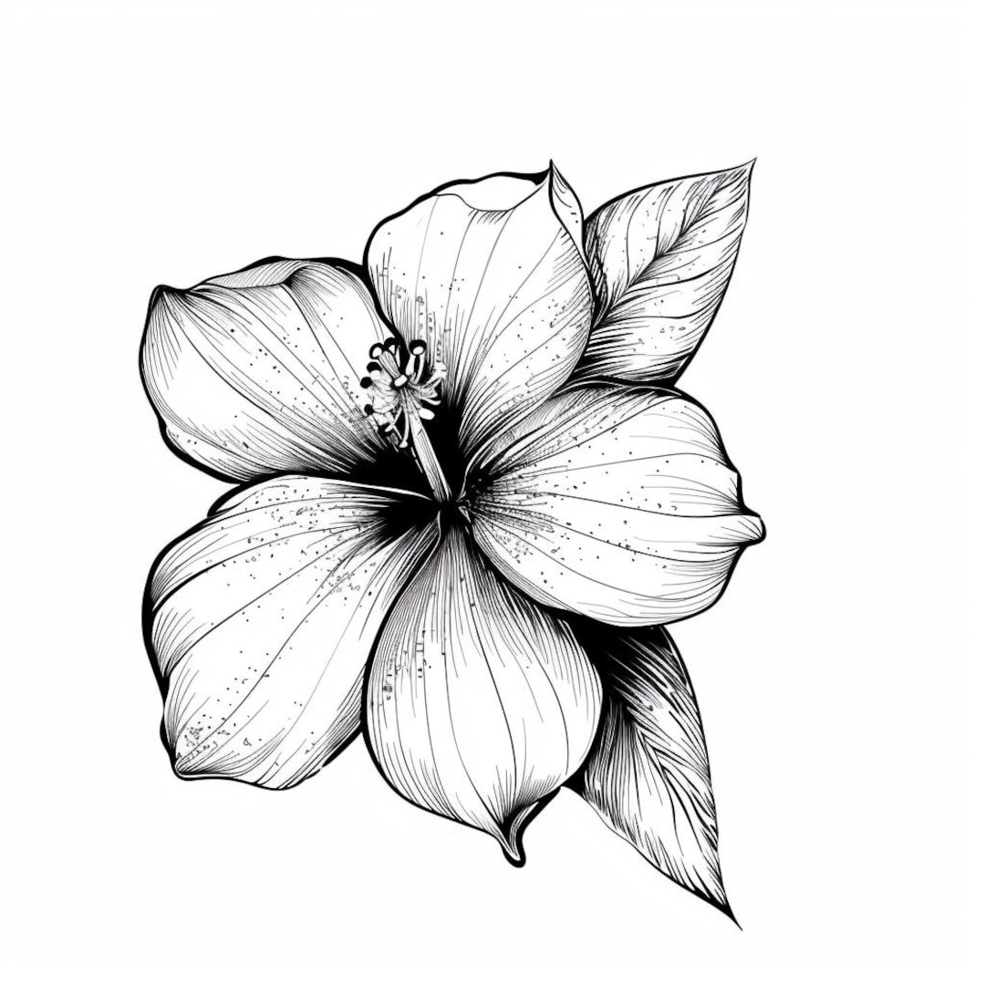 44 枚の白黒花のクリップアート、手描きの花のイラスト、植物アート