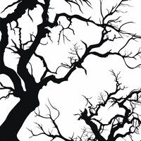 Premium Birch Tree Clipart & Vector Set - Birch Tree Clip Art, Birch ...
